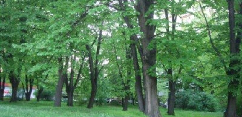 Θεματικό περιβαλλοντικό πάρκο 50 στρεμμάτων στο Ηράκλειο