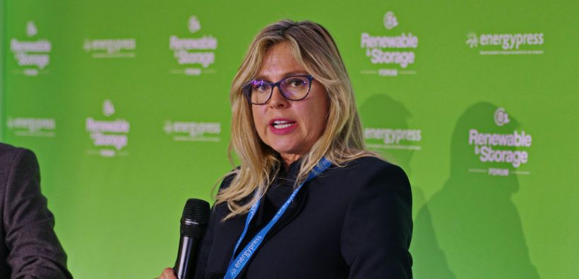 Ντ. Βασιλείου: Ο ΕΛΑΠΕ είναι η αποτύπωση της ενεργειακής μετάβασης με οικονομικούς όρους 