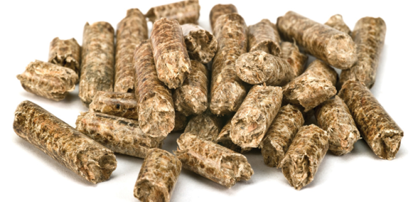 Βοσνία - Ερζεγοβίνη: Στα eco pellets επενδύει η HIFA -Oil