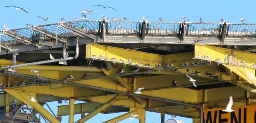 Πρωτοποριακή συνεργασία Energean-Orsted: Επαναχρησιμοποίηση πλατφόρμας φυσικού αερίου προς όφελος υπεράκτιων αιολικών πάρκων