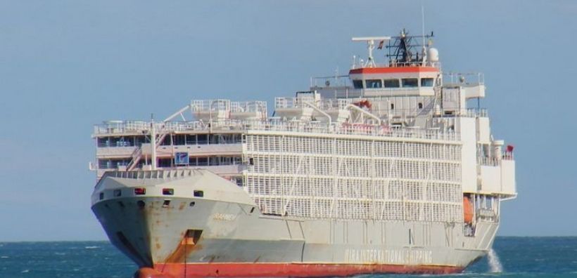 Κίνα: Ένα υβριδικό πλοίο μεταφοράς οχημάτων απέπλευσε για το πρώτο του ταξίδι με προορισμό την Ευρώπη