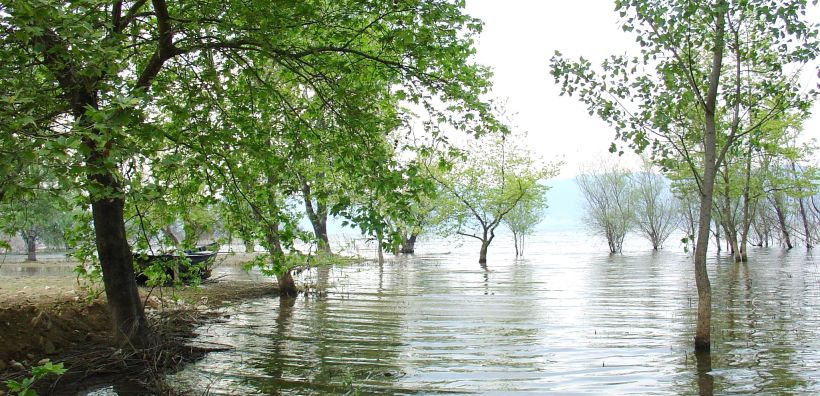 Το περιβαλλοντικό βραβείο Natura 2000 εγκαινίασε η Κομισιόν