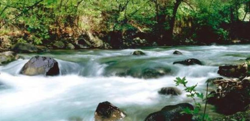 Το ένα τρίτο των προστατευόμενων περιοχών της Γης είναι προστατευόμενες μόνο κατ’ όνομα