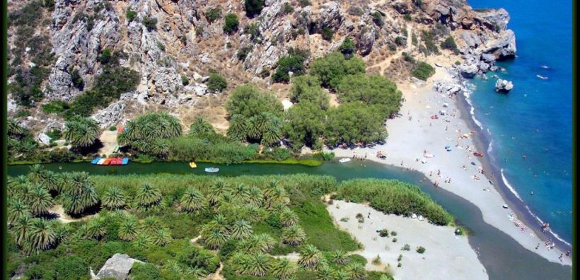 Αναδασωτέο το Φοινικόδασος του Πρέβελη