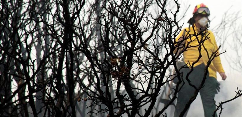 Ποσοστά ρεκόρ CO2 στη Σιβηρία το αντίτιμο των πυρκαγιών