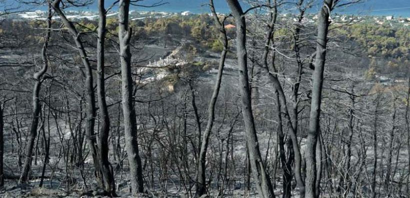Η Πράξη Νομοθετικού Περιεχομένου με όλα τα μέτρα για τους πυρόπληκτους της Αττικής