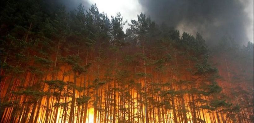 Ελλοχεύουν κίνδυνοι για τον πλανήτη από τις πυρκαγίες στη Ρωσία