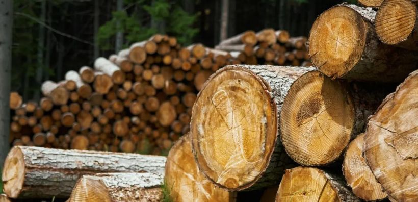 Αύξηση 15% στις τιμές αποζημίωσης των υλοτόμων των ΔΑΣΕ - Υπεγράφη ΚΥΑ από ΥΠΕΝ και Υπ. Οικονομικών