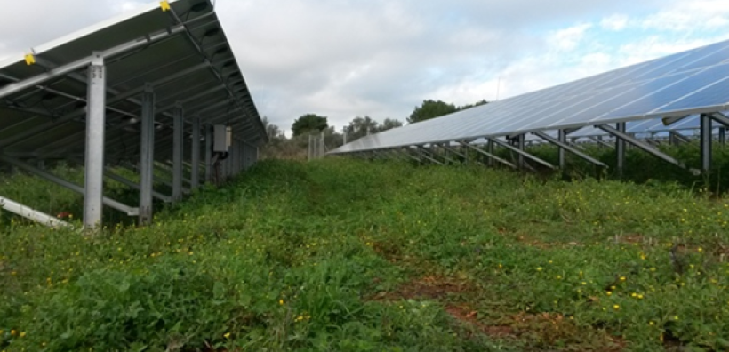 Τη συντήρηση φωτοβολταϊκού Πάρκου 600 kW ανέλαβε η SolarService