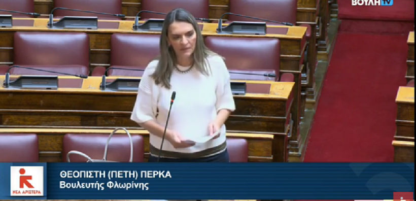 Π. Πέρκα: Αυξήσεις στα τέλη χρήσης δικτύου σε ΑΔΜΗΕ και ΔΕΔΔΗΕ λόγω της «κοινωνικοποίησης» του κόστους σύνδεσης ΑΠΕ