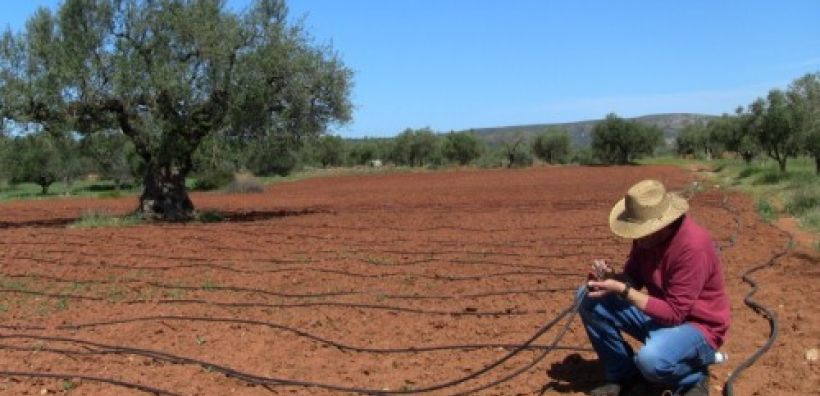 Δ. Μακεδονία: Ζητά επανεκτίμηση του χρόνου διακοπής αγροτικού τιμολογίου της ΔΕΗ