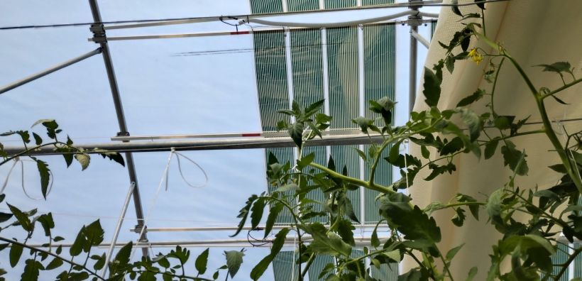 FLEX2ENERGY : Πράσινη ενέργεια από τη Θεσσαλονίκη
