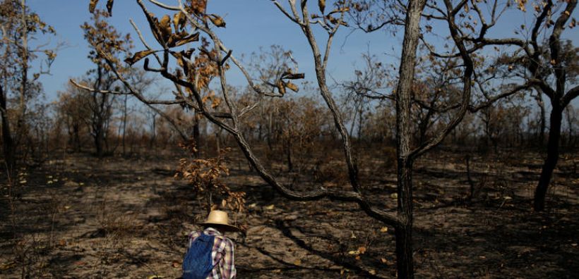 ΟΗΕ: 500 εκατ. δολάρια για τη σωτηρία των τροπικών δασών