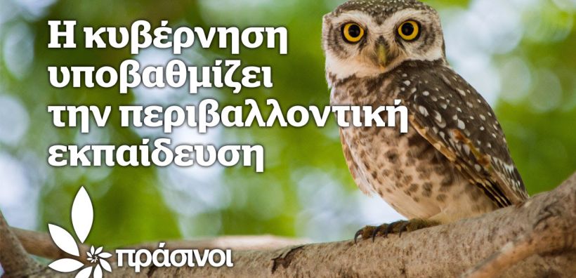 Πράσινοι: Η κυβέρνηση υποβαθμίζει την περιβαλλοντική εκπαίδευση