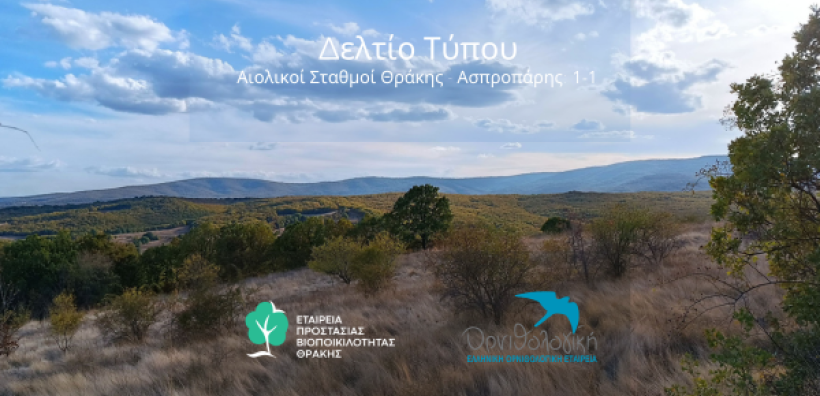Εταιρεία Προστασίας Βιοποικιλότητας της Θράκης: Μία νίκη και μια (προσώρας) ήττα για τον Ασπροπάρη, τον πιο απειλούμενο γύπα στην Ευρώπη