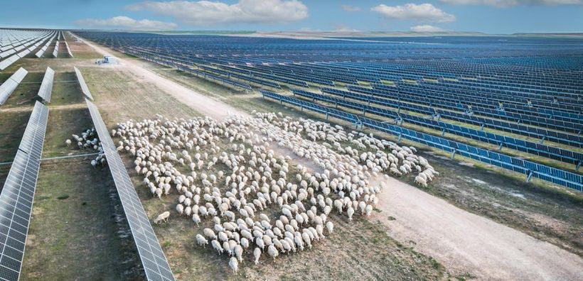 Lightsource bp: Ηγετική θέση στις παγκόσμιες αγορές πράσινης ενέργειας