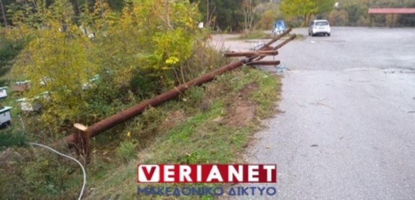 Βέροια: Έκοψαν κολώνες της ΔΕΗ του δικτύου ηλεκτροδότησης στη δομή φιλοξενίας προσφύγων στην Αγ. Βαρβάρα