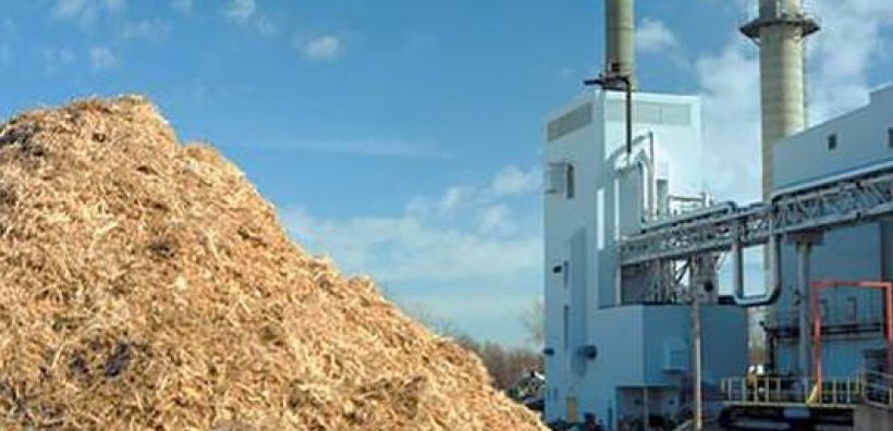 Σταθμός παραγωγής ηλεκτρικής ενέργειας με αεριοποίηση βιομάζας στην Μελίκη