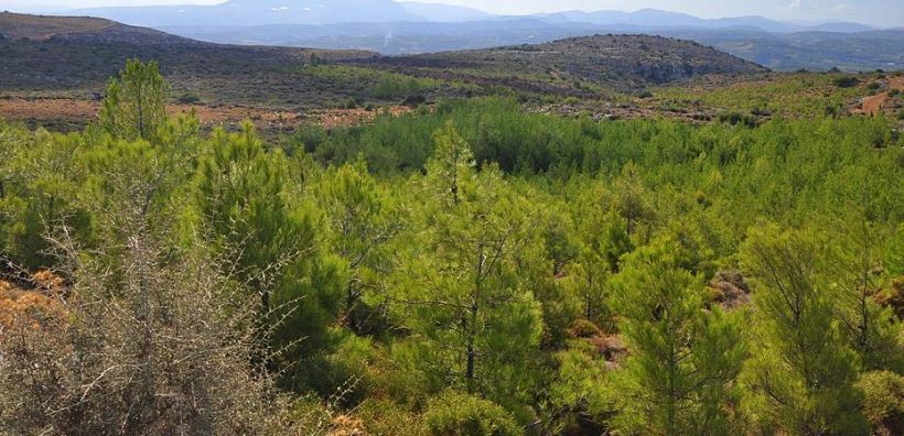 Παραπομπή της Ελλάδας στο Ευρωδικαστήριο για τη βιοποικιλότητα