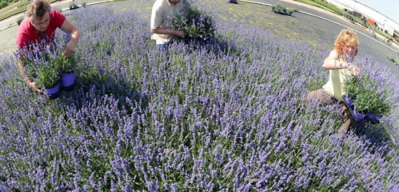 Ποια είναι τα νέα «πράσινα» επαγγέλματα του μέλλοντος