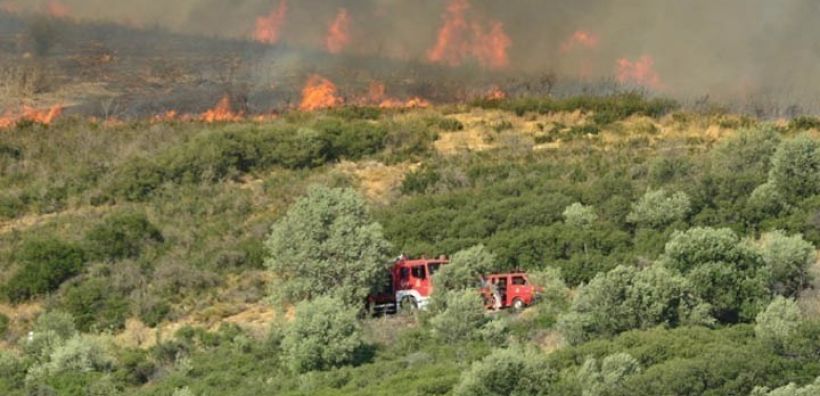 Μέχρι τον Ιούλιο κάηκαν 30% περισσότερες εκτάσεις από τον ετήσιο μέσο όρο