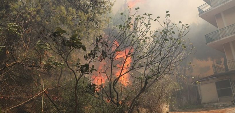 «Στάχτη» έγιναν 100.000 στρέμματα από την πυρκαγιά στην Αττική