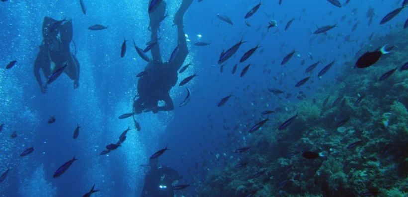Πετρελαιοφάγα μικρόβια βρέθηκαν στο μεγαλύτερο βάθος των ωκεανών, στην Τάφρο των Μαριανών