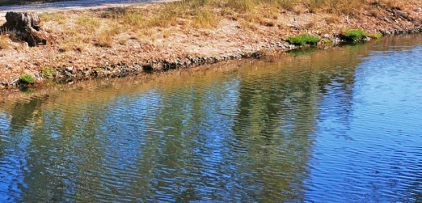 Η ρύπανση από τα φάρμακα απειλεί πολλά ποτάμια της Γης, αποκαλύπτει έρευνα