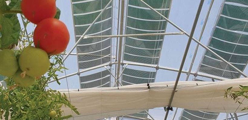 Τα οφέλη εγκατάστασης αγροβολταϊκών σε περιοχές με θερμοκήπια
