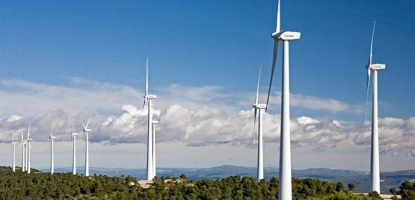 Τ. Τέλλογλου: Η προστασία του μπούφου έχει «παγώσει» το αιολικό πάρκο στον Καφηρέα
