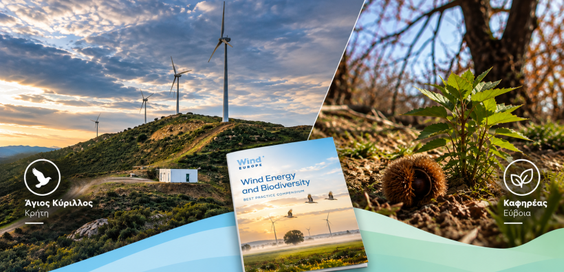 WindEurope: Δύο έργα της Principia στις ευρωπαϊκές καλές πρακτικές για τη βιοποικιλότητα