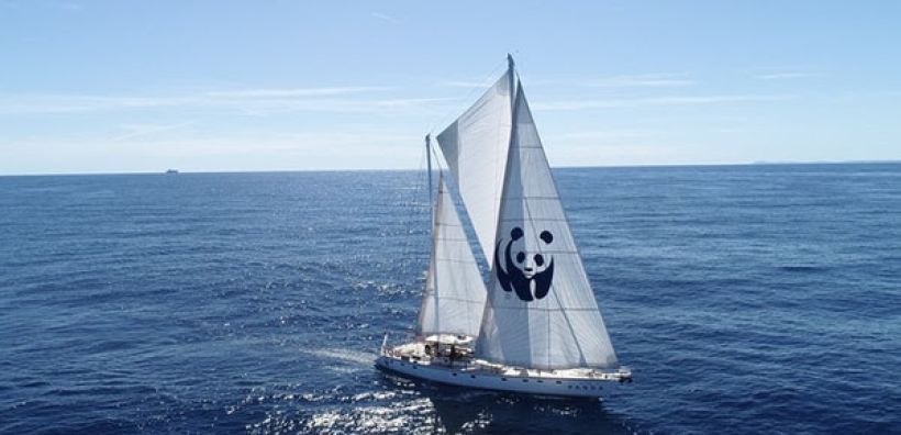 Το ιστιοπλοϊκό σκάφος WWF “Blue Panda” φτάνει στο Ιόνιο
