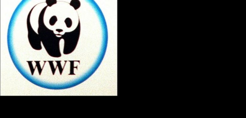 Συνεργασία WWF Ελλάς-Future Leaders