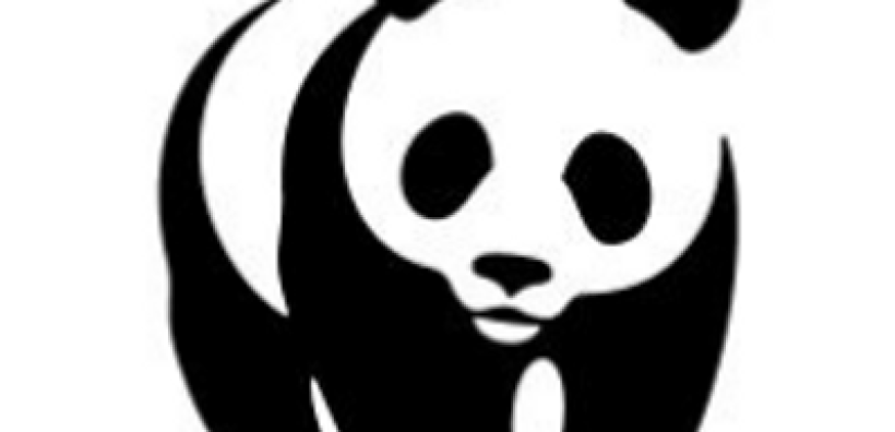 WWF: Τι ακούσαμε (και τι δεν ακούσαμε) από τον πρωθυπουργό  στην COP26