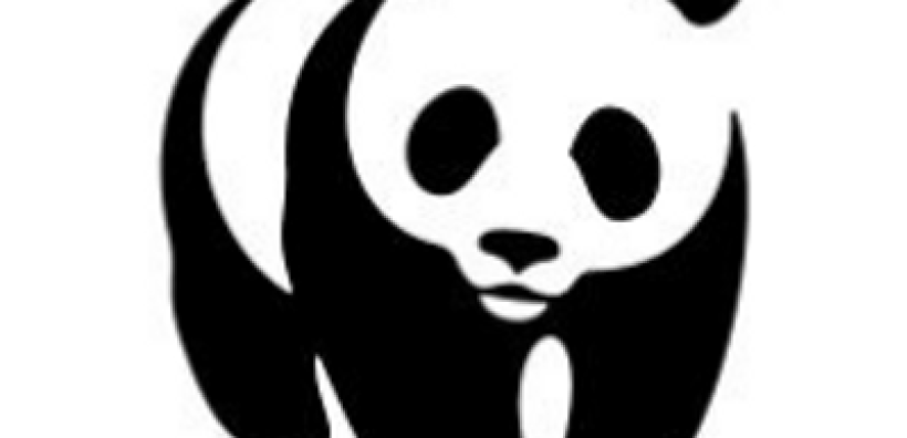 WWF: Να μη γίνει η ενεργειακή κρίση αφορμή για ξεπερασμένες και επικίνδυνες πολιτικές
