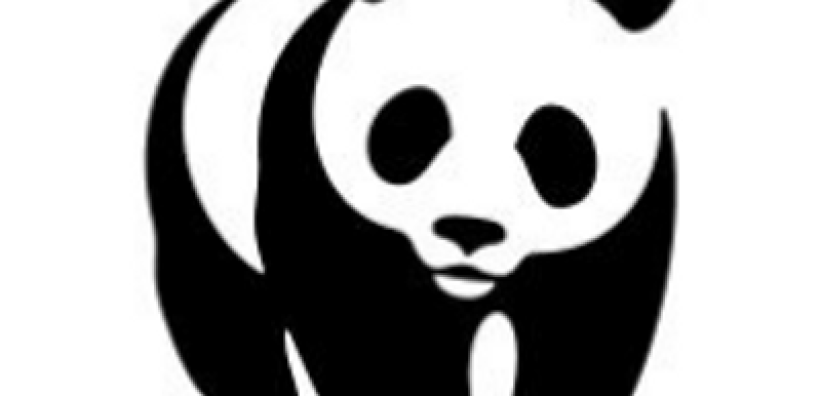 Προσοχή στο επενδυτικό κενό - Έκθεση WWF για την ανάγκη κλιματικής θωράκισης  της ελληνικής οικονομίας