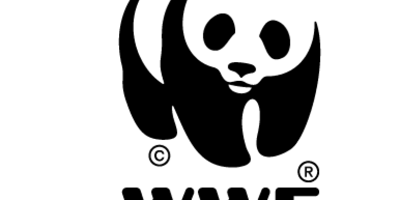 WWF: Σε σωστή κατεύθυνση τα φωτοβολταϊκά στις στέγες