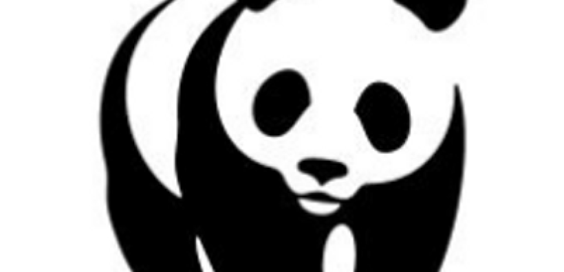 WWF: Τι ειπώθηκε στην ημερίδα για την επικαιροποίηση του Εθνικού Σχεδίου για την Ενέργεια και το Κλίμα