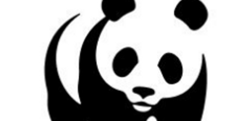 WWF: Περισσότερα από 180.000 στρέμματα καμένων δασικών εκτάσεων σε λίγες μόλις μέρες