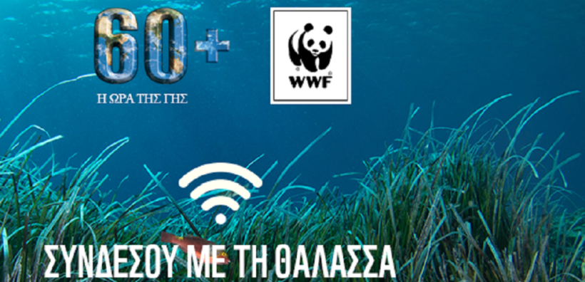Θέση εργασίας στη WWF - Ολόκληρη η προκήρυξη 