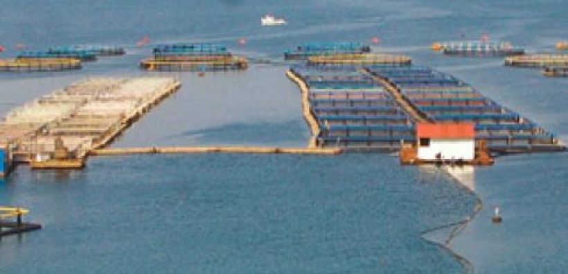 Διευκρινίσεις ΥΠΕΚΑ για τις υδατοκαλλιέργειες