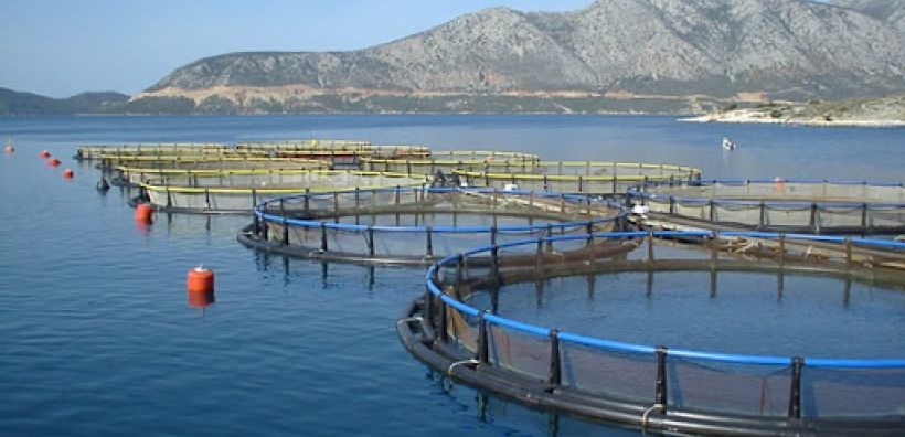 Κομισιόν: Οδηγίες για υδατοκαλλιέργειες σε περιοχές Natura