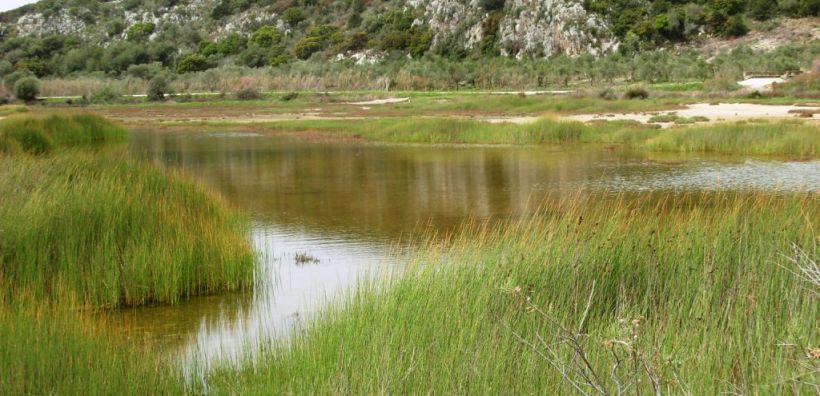 Κατά της πώλησης υδροβιότοπου στην Επανομή ο Τζιτζικώστας