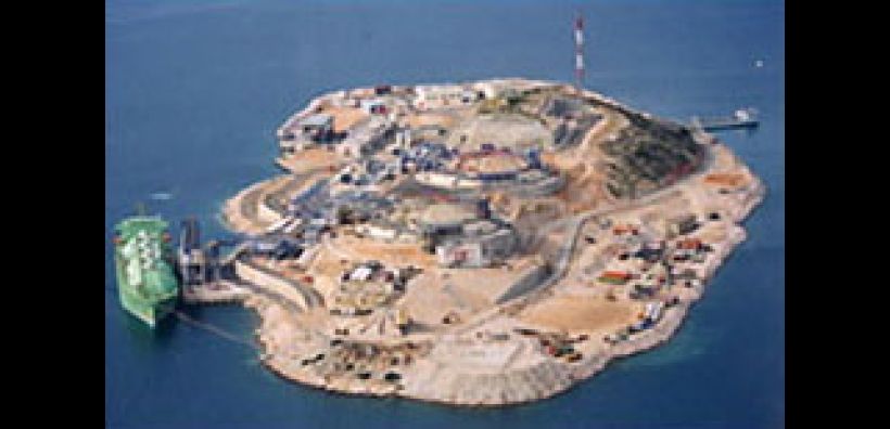 Χρύσα Λιάγγου: Κίνδυνος «μπλακ άουτ» μέχρι το Σάββατο λόγω έλλειψης φυσικού αερίου 