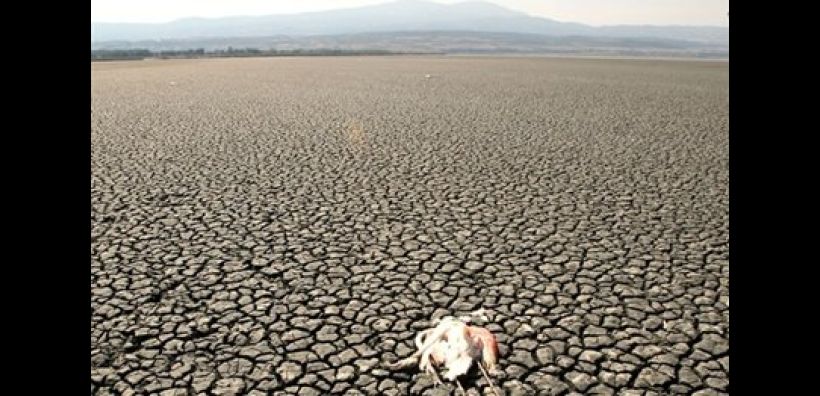 Στο Ευρωπαϊκό Δικαστήριο για την υπόθεση της Κορώνειας 