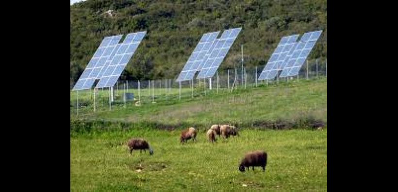 Η ΑΑΔΕ διευκρινίζει εκ νέου τι ισχύει για τα αγροτικά φωτοβολταϊκά και το υποκατάστημα 