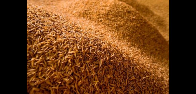 Ένωση Αγρινίου – AgroBioHeat: Προωθώντας λύσεις θέρμανσης με αγροτική βιομάζα