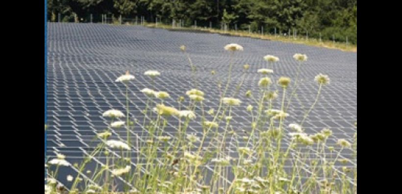 Νέο φωτοβολταϊκό 8,2 MWp από την Conergy