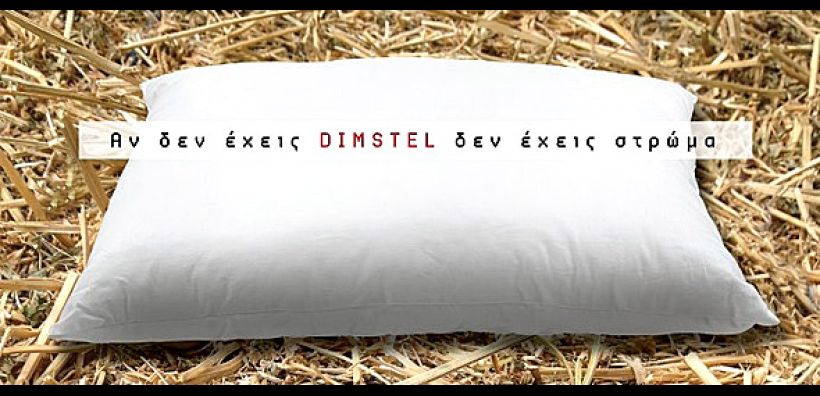 Χρυσός χορηγός στο DO-IT-ECO PROJECT η Dimstel