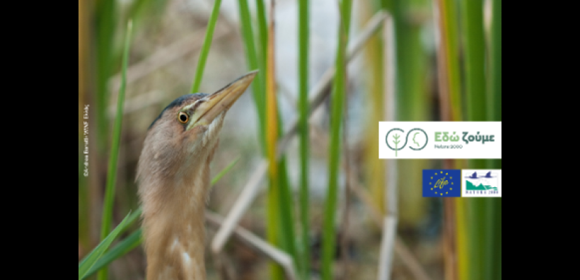 Ευρωπαϊκή Ημέρα Natura 2000: Μια γιορτή για την προστασία της φύσης
